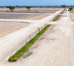 Área Verdes 