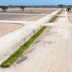 Los Altos de San Roque II